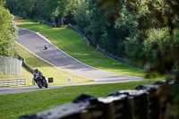 brands-hatch-photographs;brands-no-limits-trackday;cadwell-trackday-photographs;enduro-digital-images;event-digital-images;eventdigitalimages;no-limits-trackdays;peter-wileman-photography;racing-digital-images;trackday-digital-images;trackday-photos